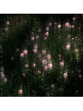 メルシー 青山店(Merci)/Merci青山