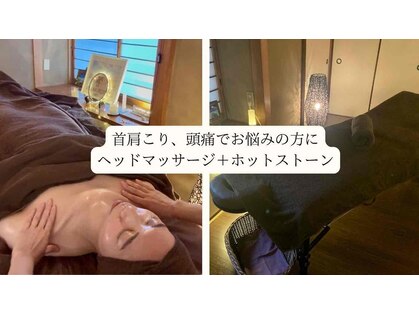パーム(palm)の写真