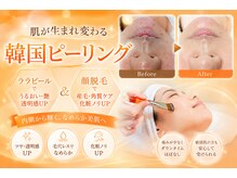 アオイ(Aoi)