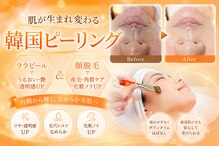 アオイ(Aoi)