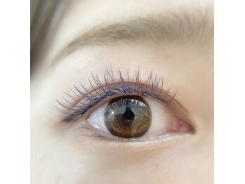 アイラッシュサロン イギー(iggy)/アッシュパープル