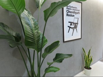 リノア(L'INOA...)/オシャレな店内★