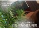 スイートヴィラズ 北堀江店(SWEET VILLAS)の写真