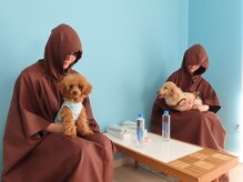 エイト(Eight)の雰囲気(カップルやお友達同士で癒しのペア蒸し体験が人気!)