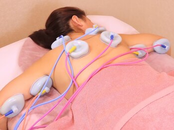 アルメリア(Armeria)/【EMS】