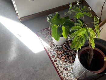 アズイット(asit.)/