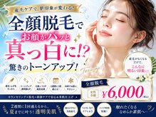 セハス キム(cejas kim.)