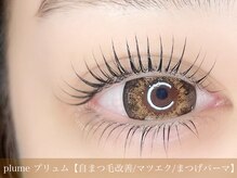 プリュム(plume)/まつげパーマ（上下）