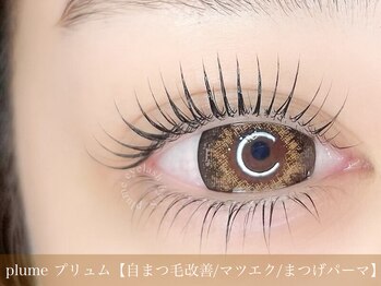 プリュム(plume)/まつげパーマ（上下）