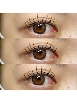 アイラッシュ ベイビーステップ(Eyelash Baby step)/フラットラッシュ120本