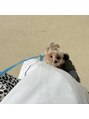 レアース(Lea's) 愛犬のマルプー(^-^)v