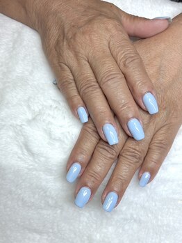 オランダエステティック(Holland Esthetics)/ワンカラー