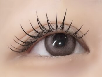 ラズリー MEGAドン・キホーテ成増店(lazley)/フラットラッシュ