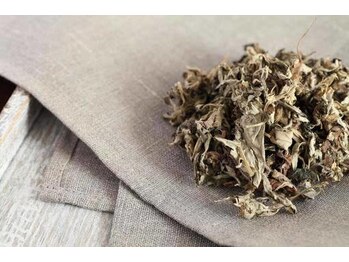 リリーフ治療院(Relief治療院)/よもぎ