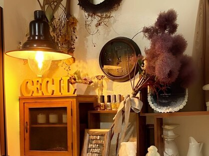 セシル(CECIL)の写真