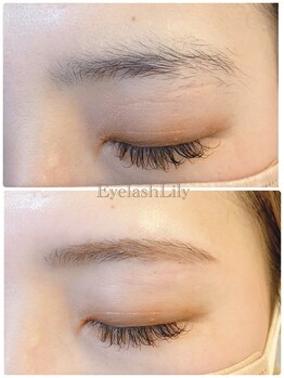 アイラッシュリリィ(Eyelash Lily)/美眉