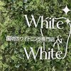 ホワイトアンドホワイト 岐阜店(White&White)ロゴ