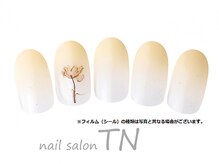 ティーエヌ 文苑堂TSUTAYA小杉町店/11月季節の定額3900円コ―ス