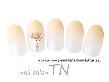 ティーエヌ 文苑堂TSUTAYA小杉町店/11月季節の定額3900円コ―ス