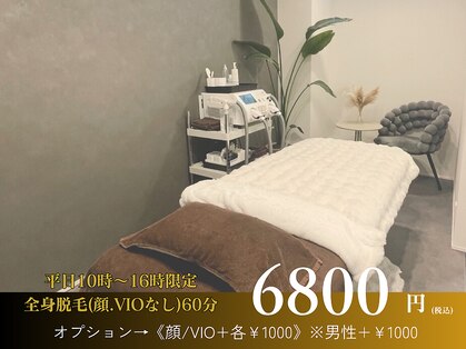 ノア(NOA.)の写真