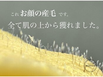 ハリウッドブロウリフト ワクシー 蒲田店(HOLLYWOOD BROW LIFT WAXYYY.)/フェイシャルワックス!
