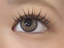 ラズリー MEGAドン・キホーテ成増店(lazley)/フラットラッシュ