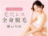 レディース毛穴レス全身脱毛(顔orVIO) 都度¥27,500