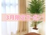 【3月限定】コリがお悩みの方必見☆全身オイルリンパ×骨盤ケア 80分 7580円