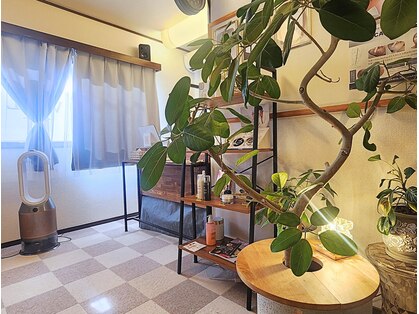 ヴィセル(VISEL)の写真