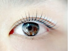 ベルアイラッシュ(Belleyelash)/【まつげパーマ】瑞江/まつげ