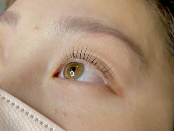 トータルビューティー(TOTAL BEAUTY)の写真/流行りのまつげパーマで理想の目元に☆ナチュラルだけど存在感抜群のまつ毛へ◎
