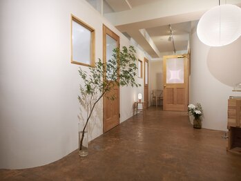 シフォン(chiffon)/