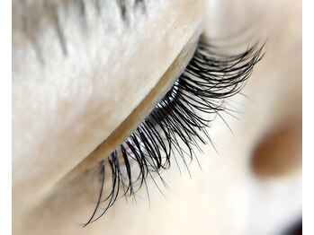 ルレーヴミリ(Le reve milli)/【フラットセーブル120本】