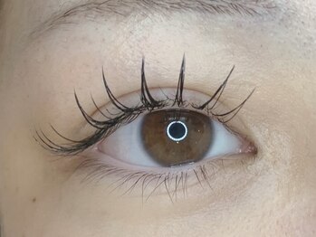 エム(M)/フラットラッシュ120本¥5,500