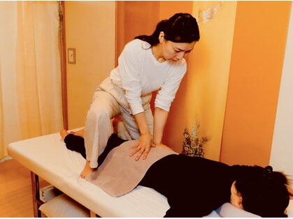 シルクレーション(circulation)の写真