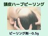 頭皮ケア　【育毛・抜け毛・頭皮臭予防】　頭皮部分ハーブピーリング【0.5g】