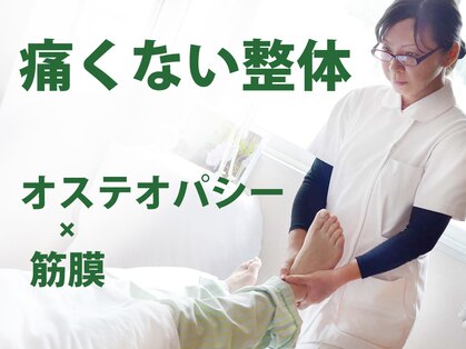 整体ラボ(Labo.)の写真