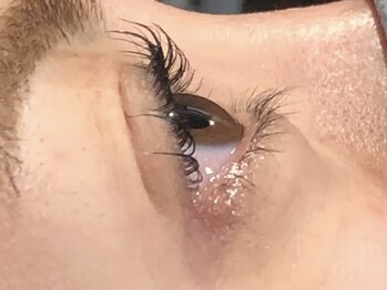 ピクシーボブ(Pixie Bob)/★マツパ 直角スタイル