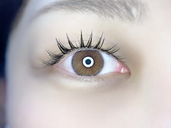 ムーンツリーアイラッシュ(.moon tree-eyelash.)の写真/長さ・濃さ・カールも欲張れる新技術♪【まつエク×まつ毛パーマ】同時施術で時短&モチ抜群の上向きまつ毛!