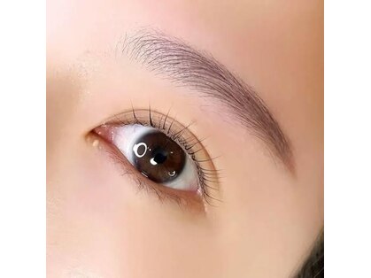 リンネ(Linne)の写真