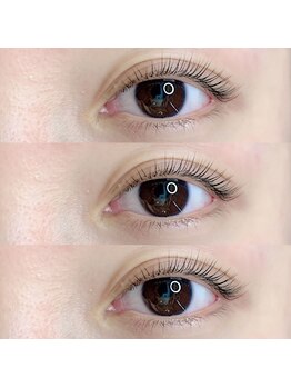 エディション(EDITION)/まつ毛パーマ