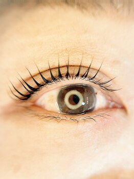 ソワニエ 袋井店(SOIGNER)/無添加まつげパーマ