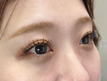 バイオレット(violets)/120本束間コーティング仕上げ♪