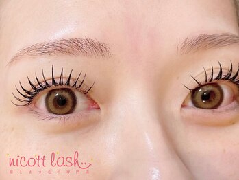 ニコットラッシュ 天王寺店(nicott lash)/まつげパーマ［天王寺・マツパ］