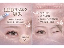 ルルラッシュ(Lulu Lash)