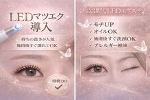 ルルラッシュ(Lulu Lash)