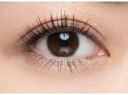 アルファ(alpha)の写真