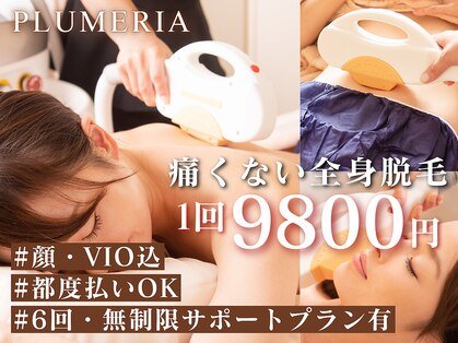 プルメリア 西新店(PLUMERIA)の写真