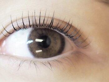 デザインケー 石巻店(designK)/【まつげパーマ】ラッシュリフト