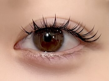 パキラ(Pachira)/ナチュラル盛り♪